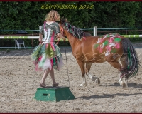 1-13JUIN 0849